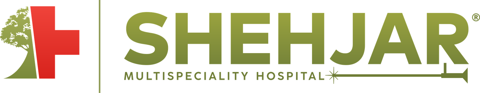 Shehjar Multispeciality Hospital — home